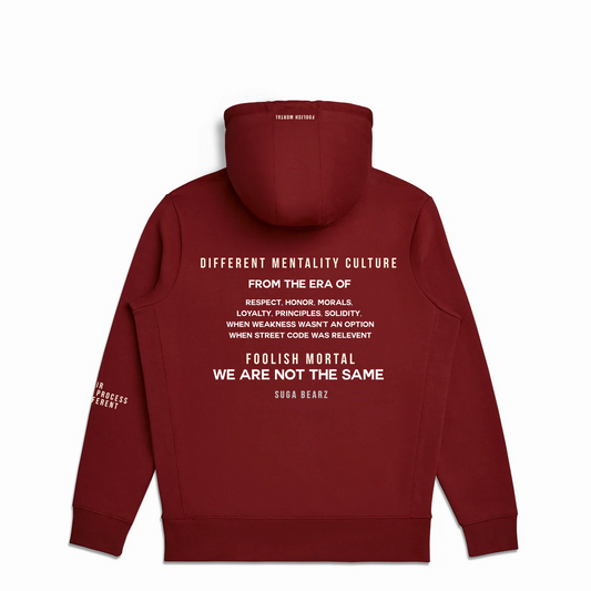 Foolish Mortal We are Not the same Hoodie