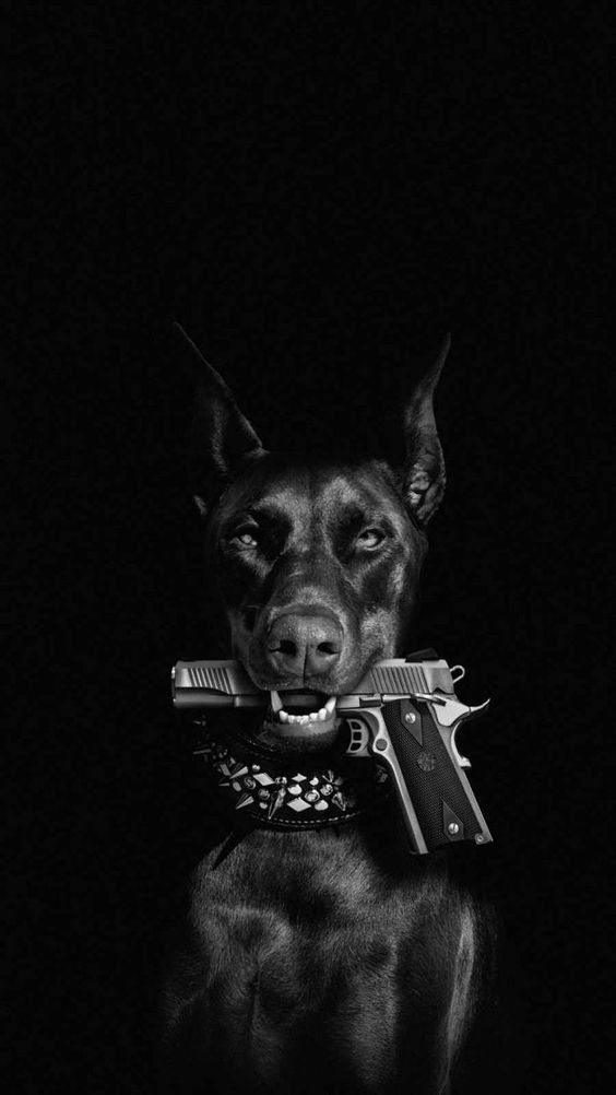 Doberman "Try Me" Hustlerz Graphic Tee